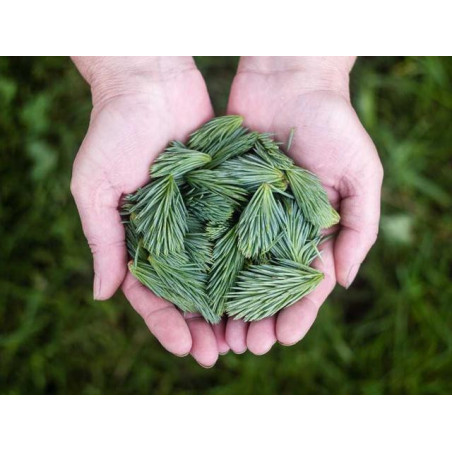 Aerodynamic Cotton Shoes fr-FR